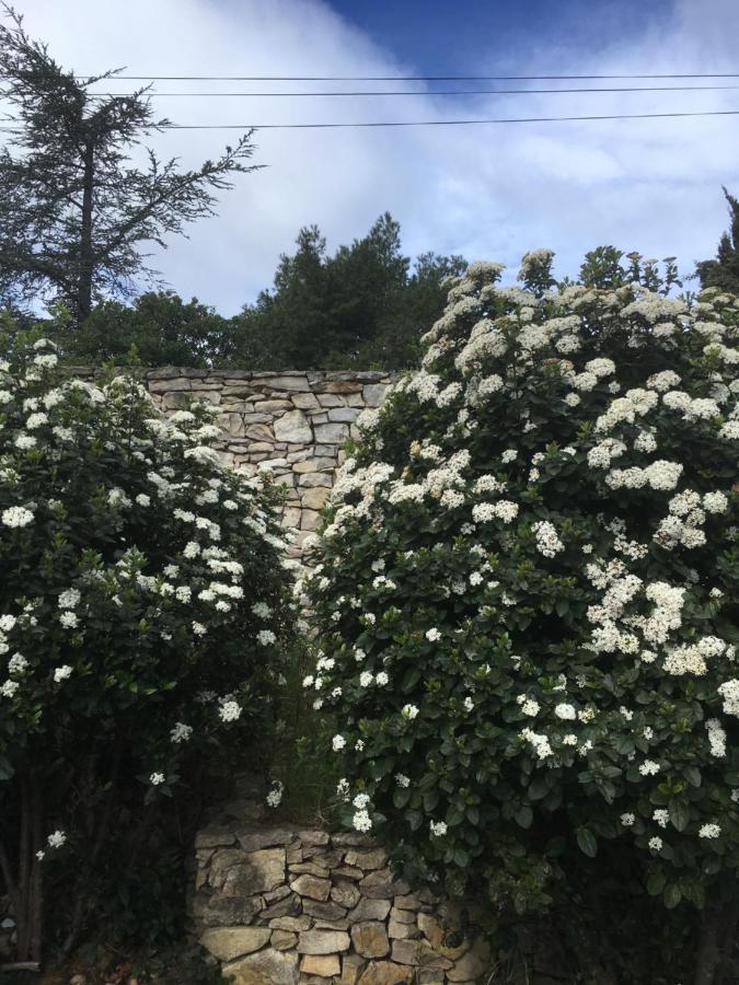 نيم La Chambre Haute المظهر الخارجي الصورة